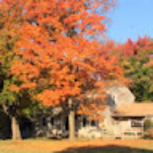 Meet your Posher, Krista